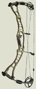 Hoyt Maxxis Bow